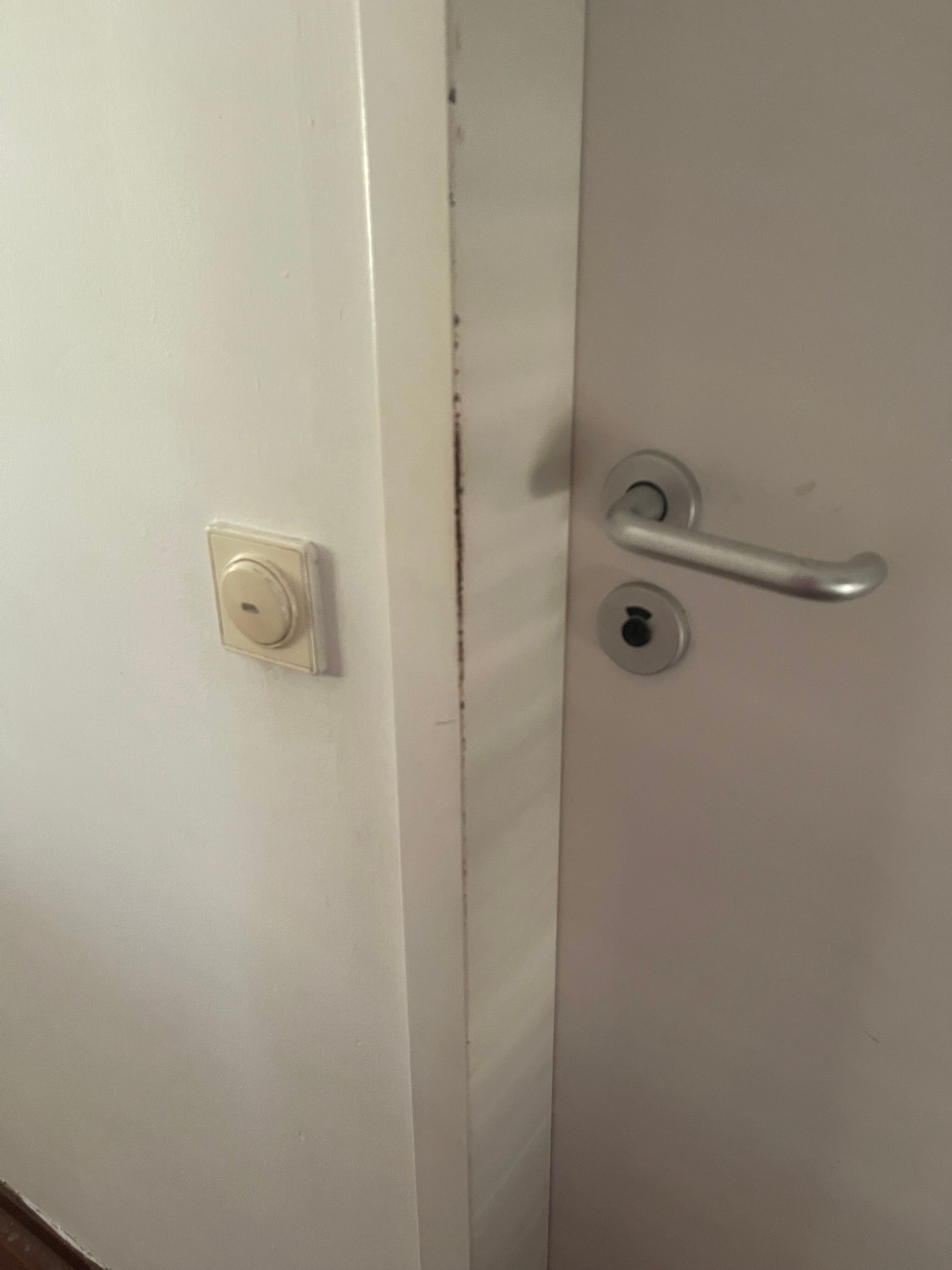 Papagayo Beach Resort-客卧