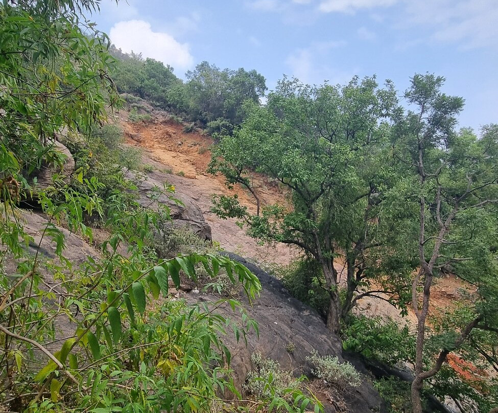 Virupaksha Cave-Tiruvannamalai必去景点