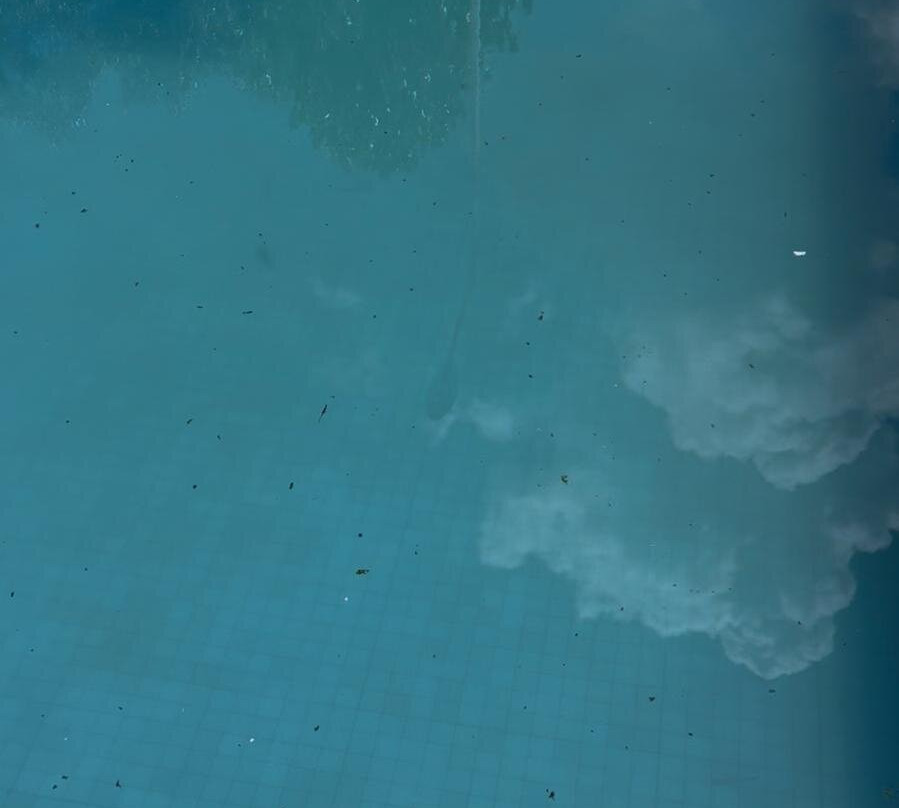 Paradise Inn Hotel主图