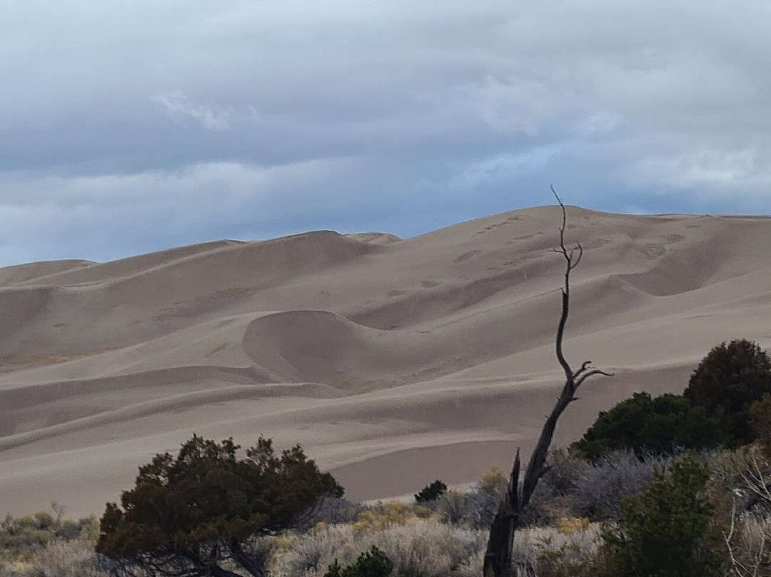 Great Sand Dunes National Park and Preserve-Mosca必去景点