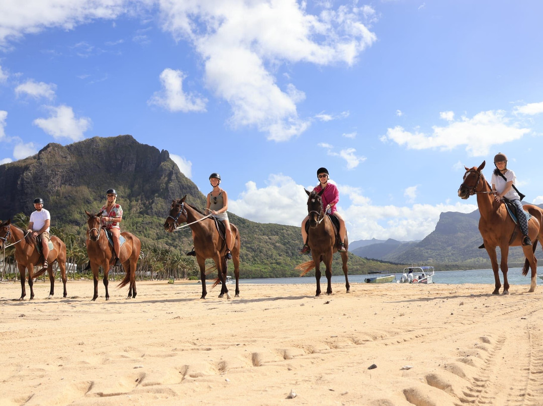 Haras Du Morne-莫纳山必去景点