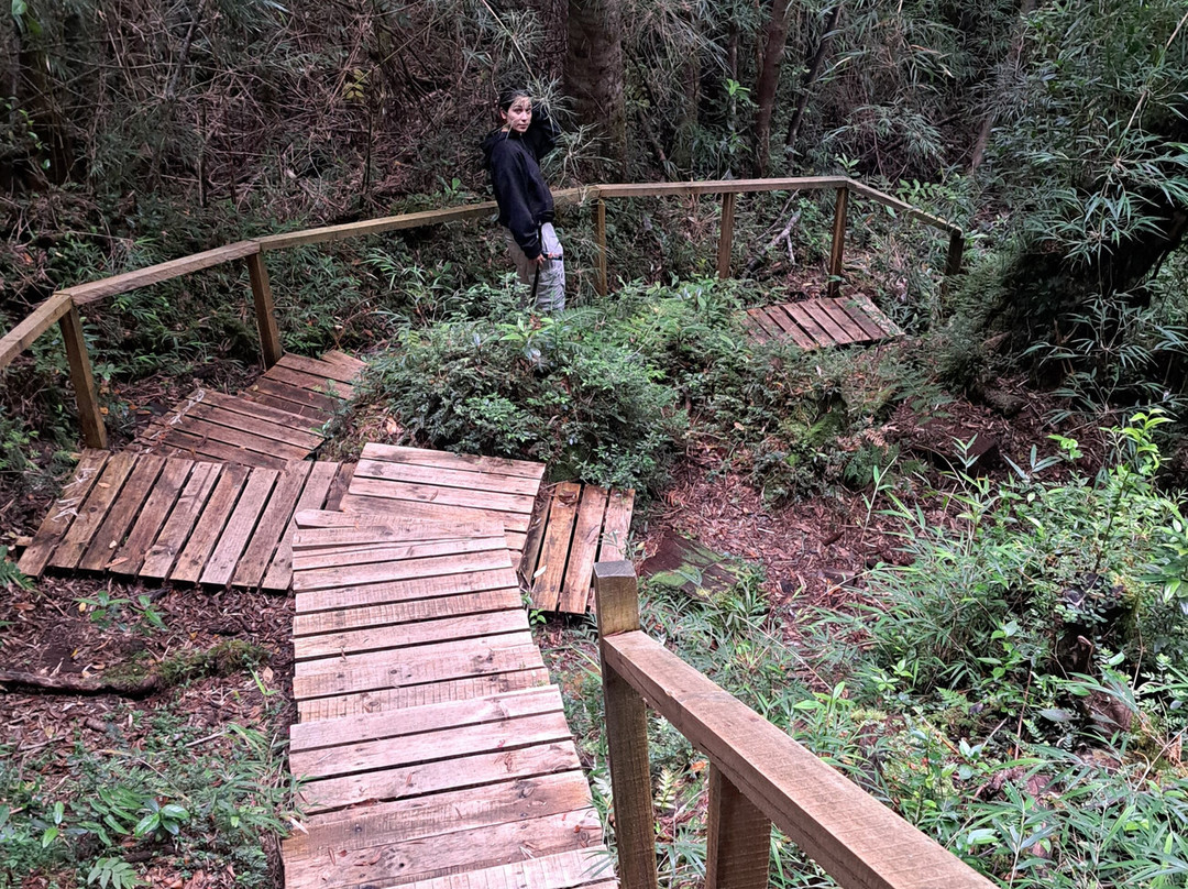 Parque Nacional Alerce Andino-蒙特港必去景点