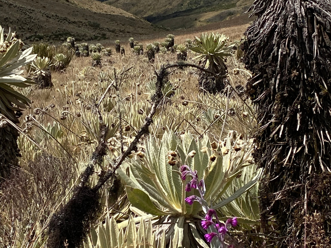 Mongui Travels-Mongui必去景点