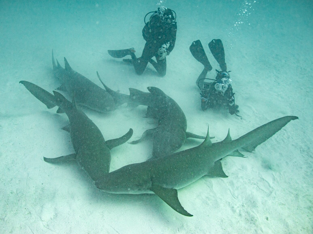 Scubaspa Maldives-马累必去景点