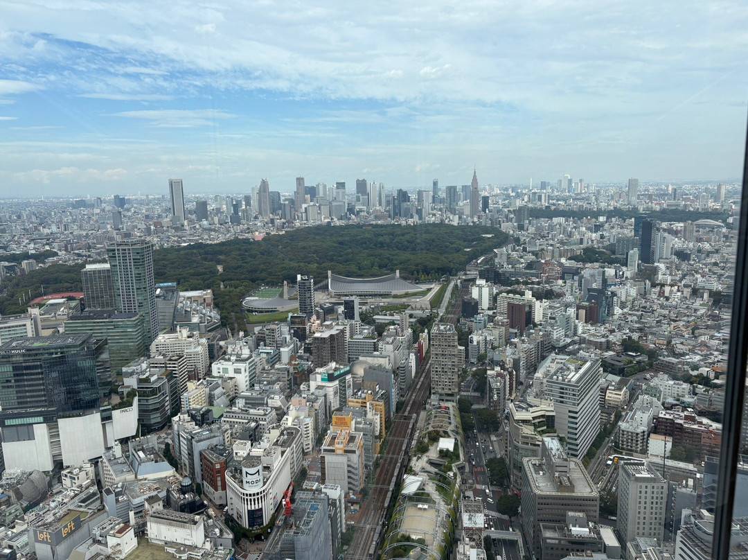 Shibuya Sky-涩谷区必去景点