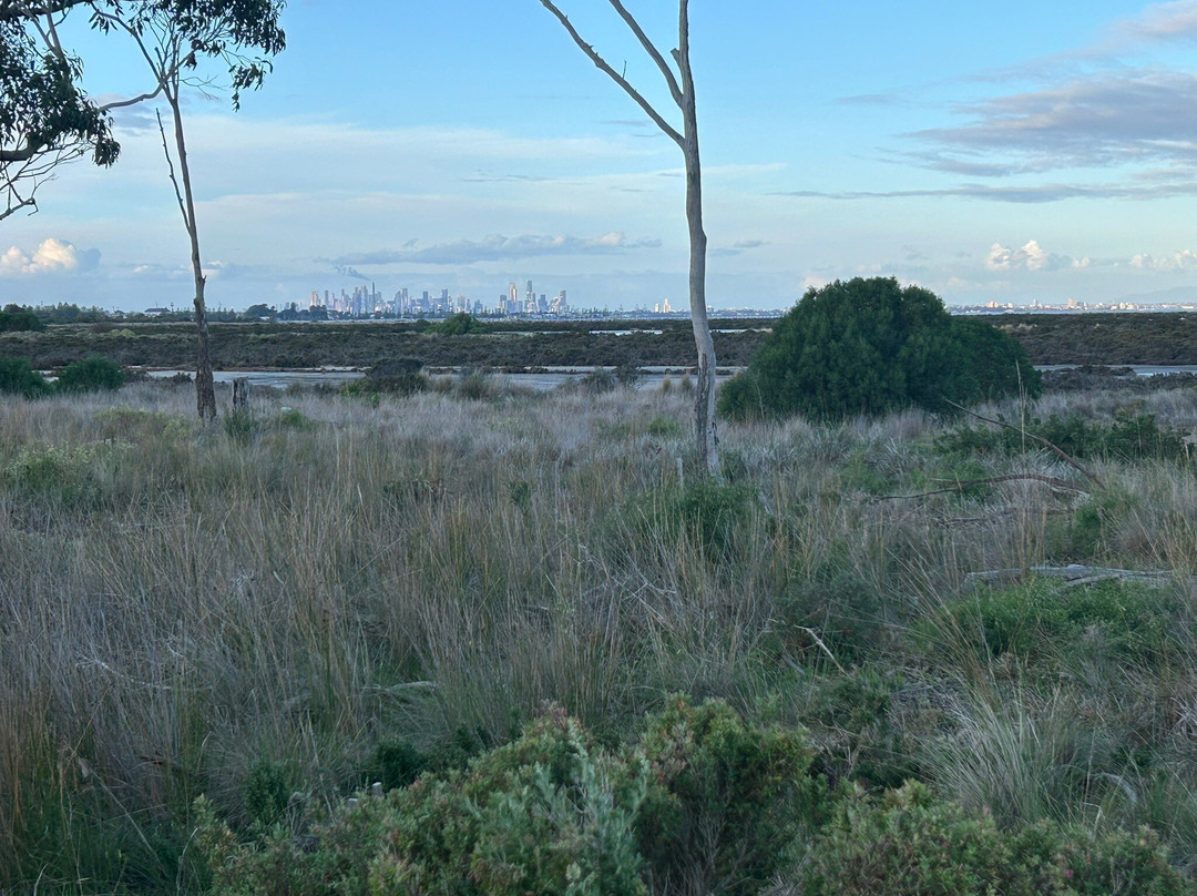 The 100 Steps of Federation-阿尔托纳必去景点