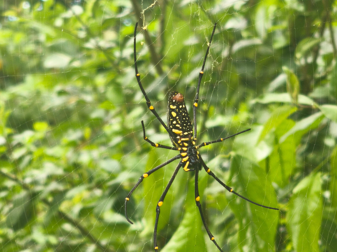 ViaVia Jogja Tour & Travel-Yogyakarta必去景点