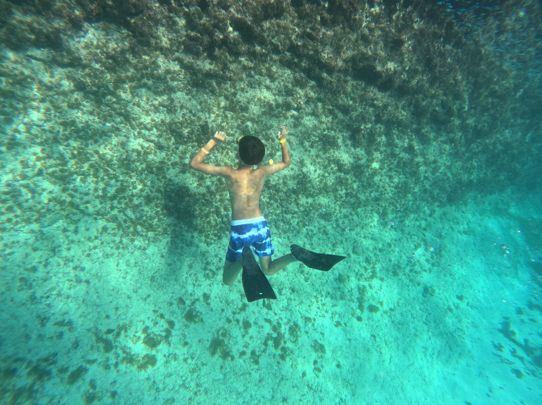 Red Sail Sports Aruba-奥腊涅斯塔德必去景点