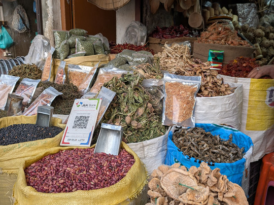 River Songs Tours and Travels-斯利那加必去景点