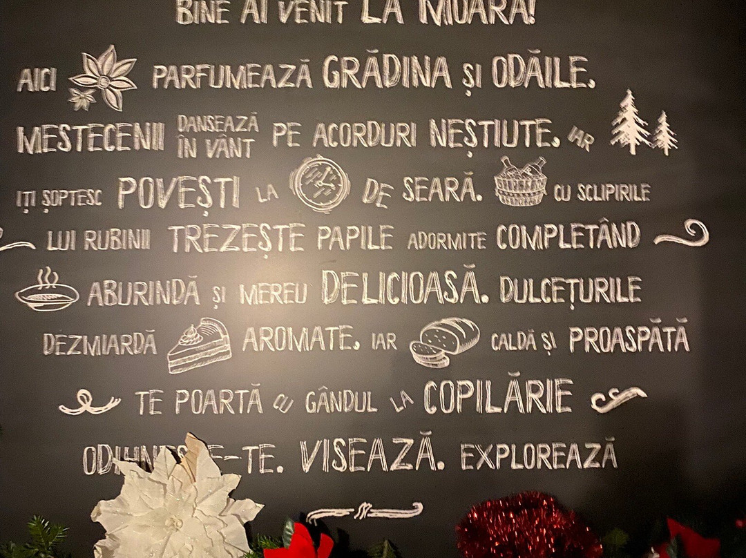 Pensiunea La Moara主图