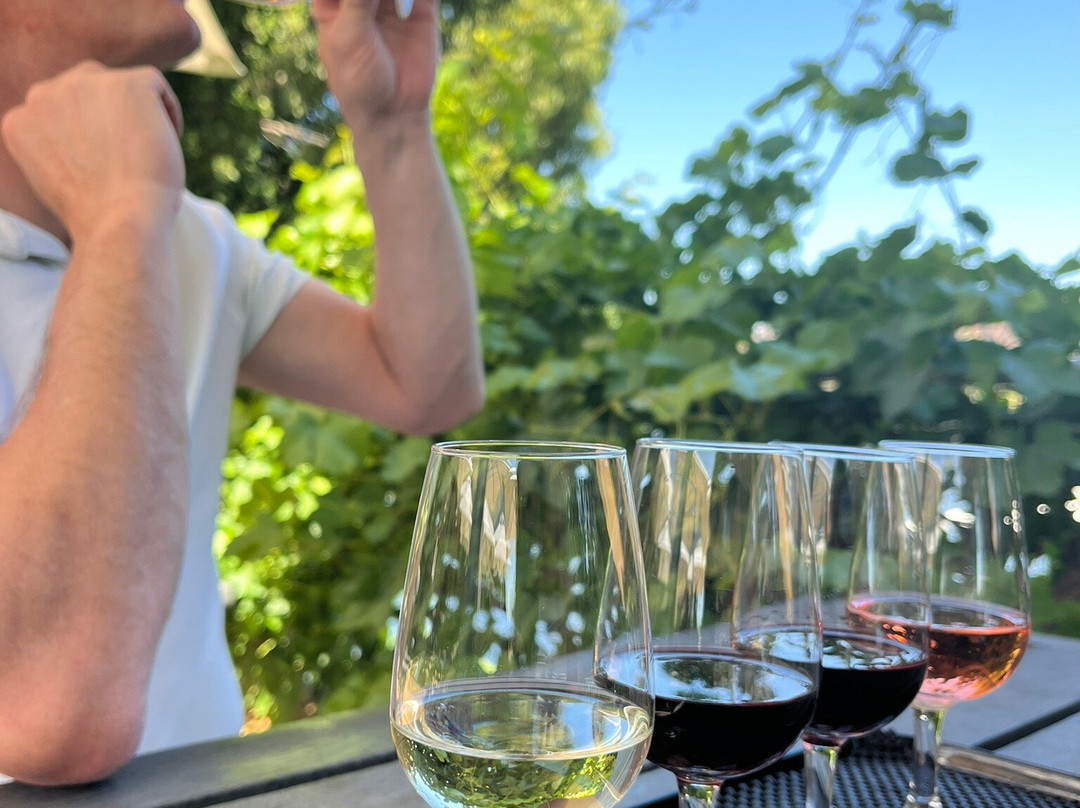 Viljoensdrift-Robertson必去景点