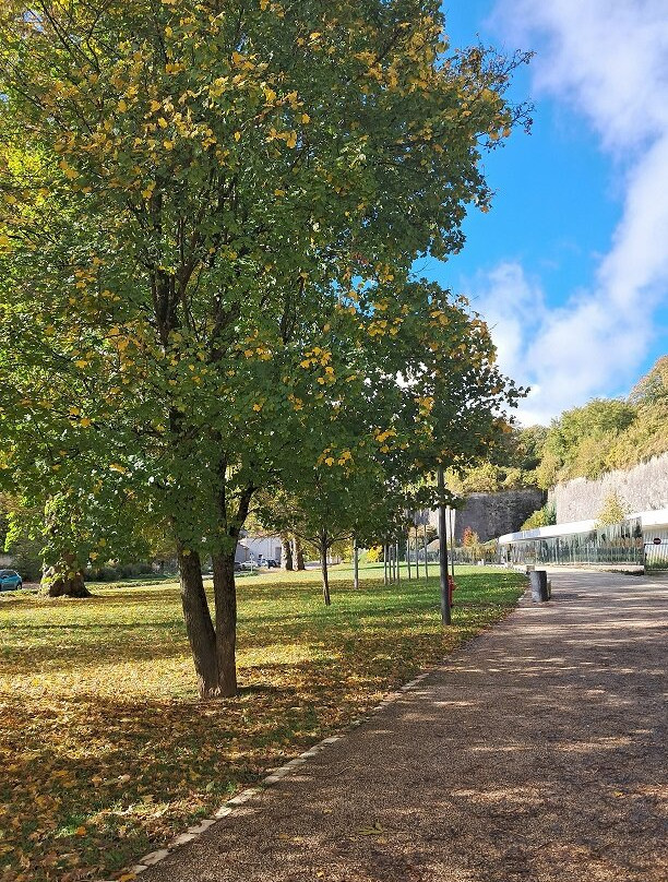 Les poilus de Verdun-凡尔登必去景点