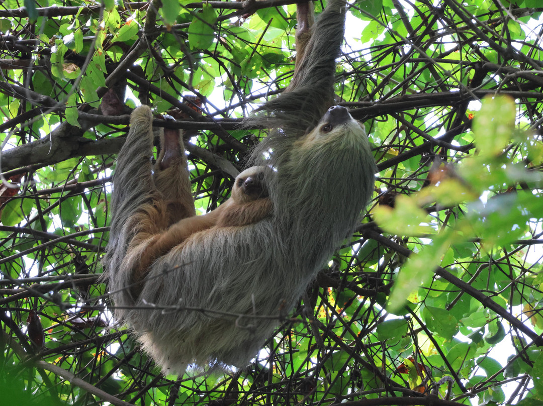 Manuel Tour Guide-卡维塔必去景点