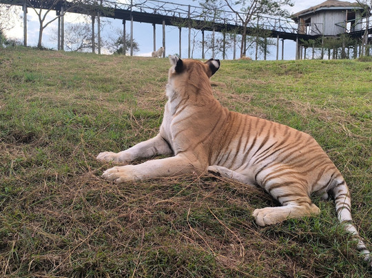 CTC Conservation Center-Mpigi必去景点