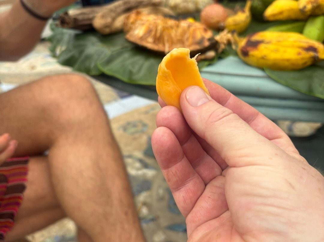 Finca Flora-Bocas del Toro必去景点