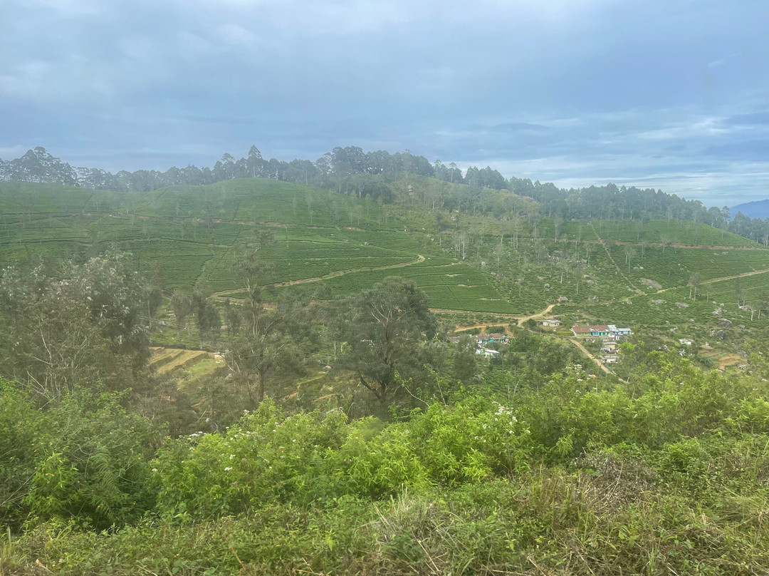 Kandy To Ella Train-阿努拉德普勒圣城必去景点