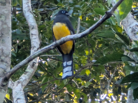 Mexico Kan Tours-图伦必去景点