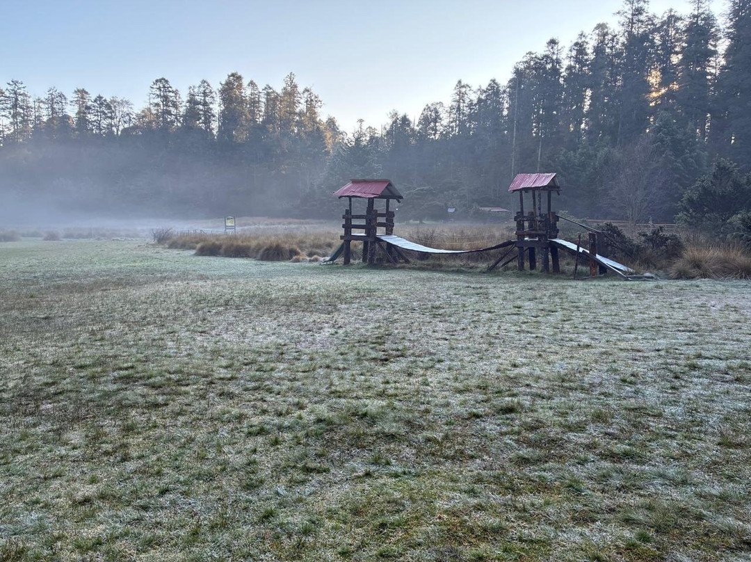 El Chico National Park-Pluma Hidalgo必去景点