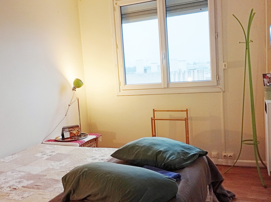 Ballainvilliers酒店住宿-Longjumeau Chambres D'hôtes