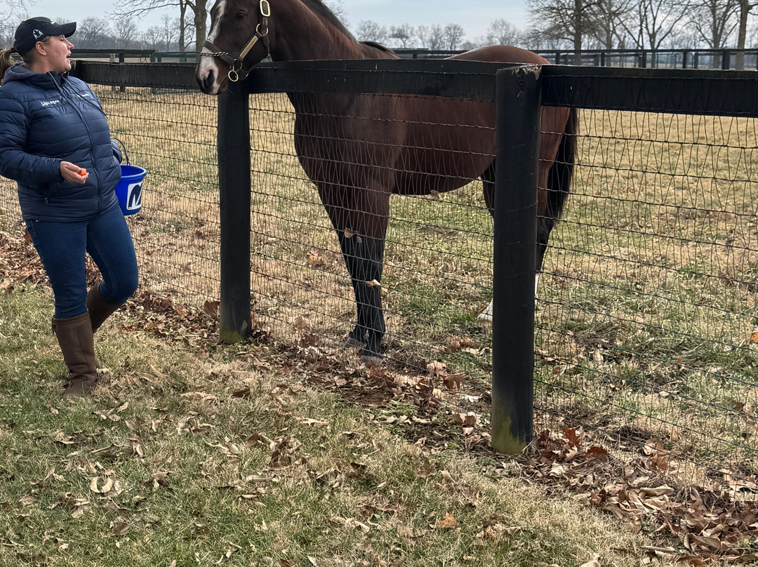 Mill Ridge Farm-列克星敦必去景点