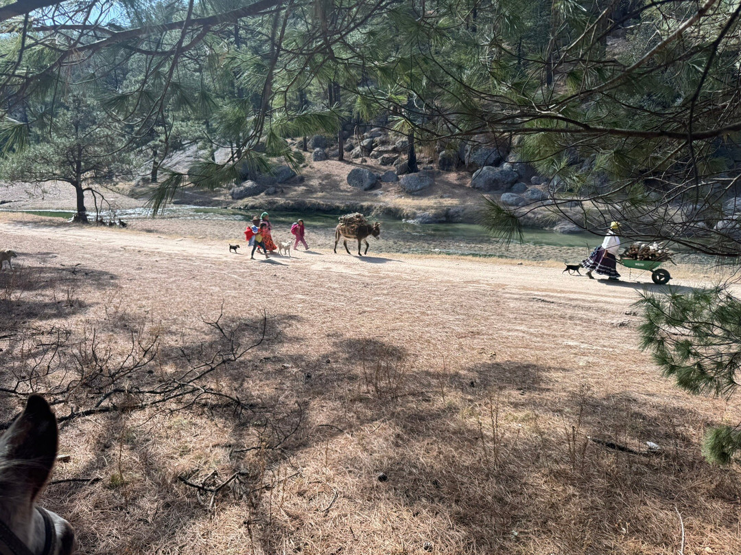 Creel Paseos A Caballo Vaquero-Creel必去景点