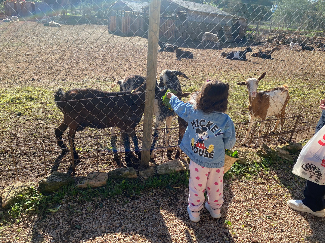 Finca Ecológica Can Musón-圣欧拉利娅尔德里奥必去景点