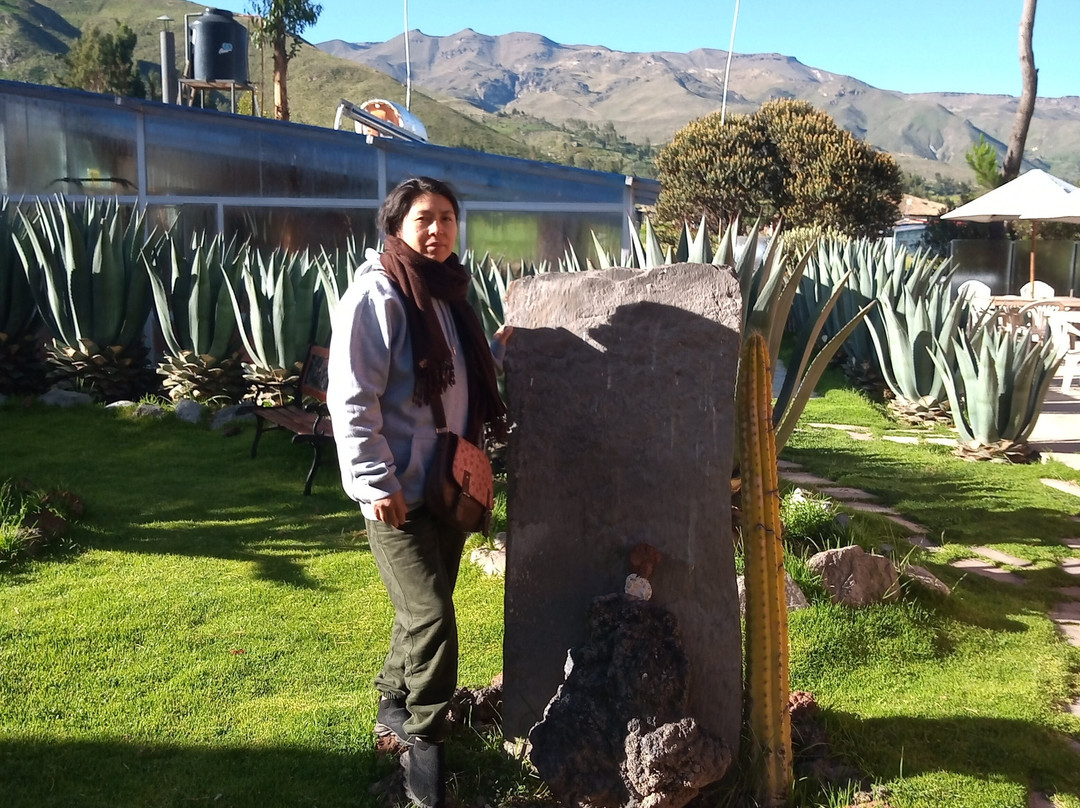 Hosteria & Spa Tradicion Colca主图