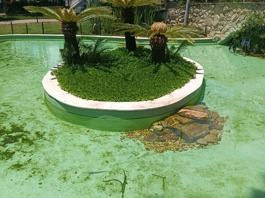 Pelourinho-Mariana必去景点