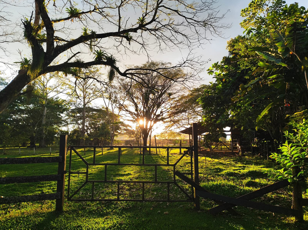 Tilajari Hotel Resort and Conference Center主图