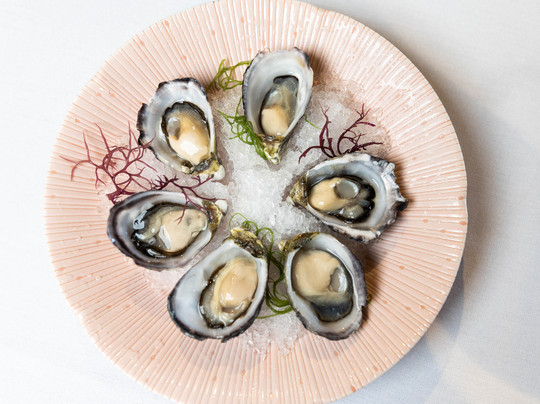 Fish House Steak & Grill