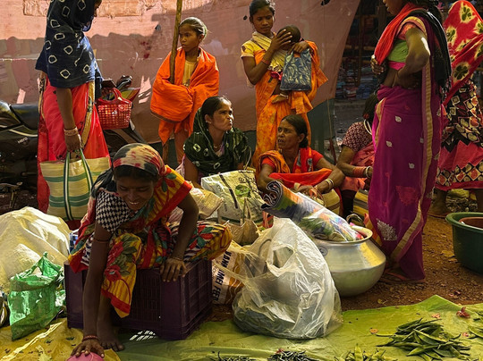 Alternative Tours-布巴内斯瓦尔必去景点