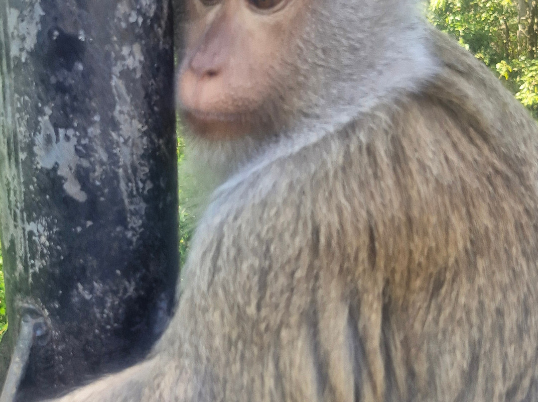 Thai Adventure Club-攀牙必去景点