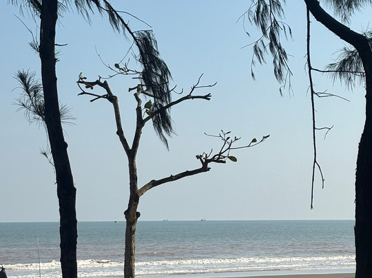 The Marron Hotel主图