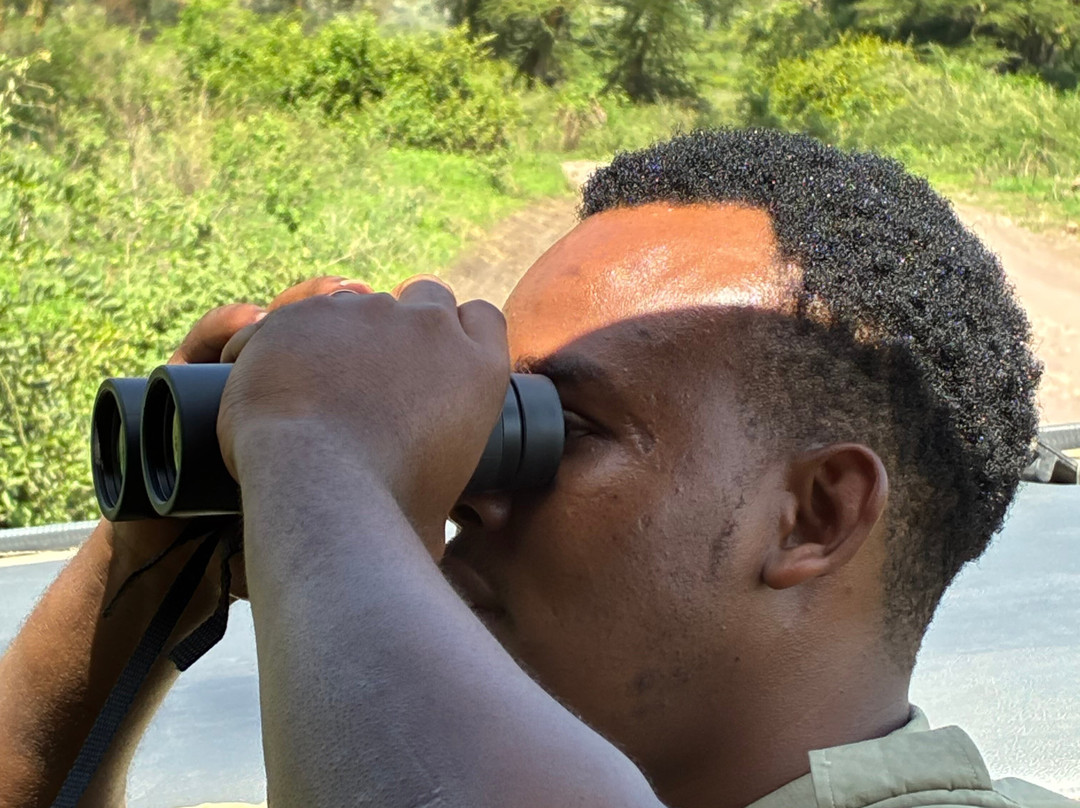 Wild Authentic Tanzania-阿鲁沙必去景点