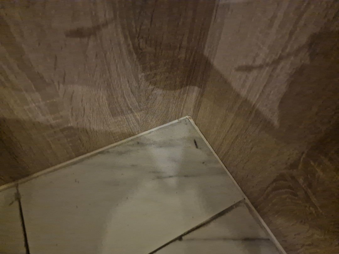 D Eco Wellness Center