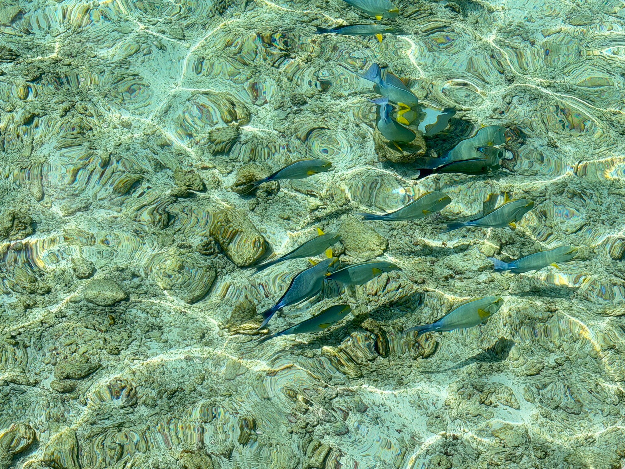 Radisson Blu Resort Maldives-官方