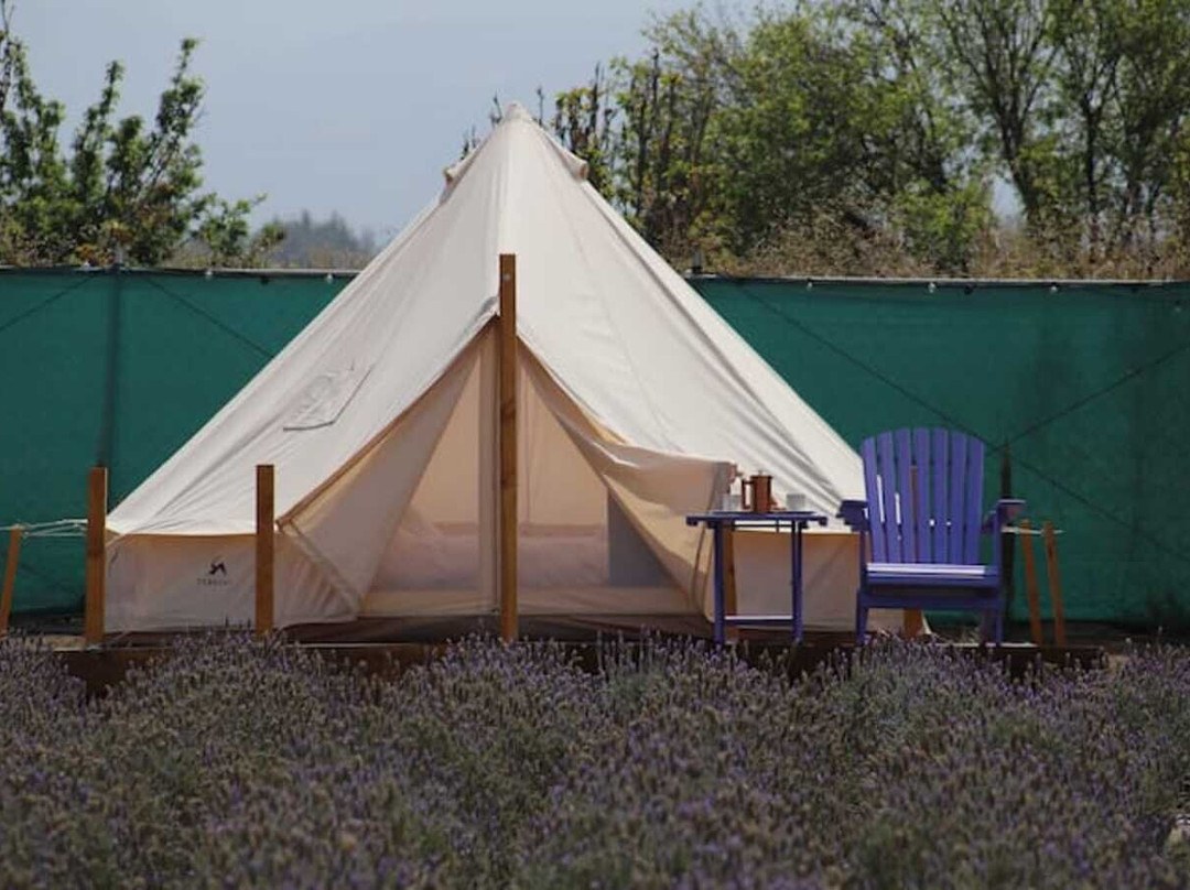 Glamping Rincón de Lavanda