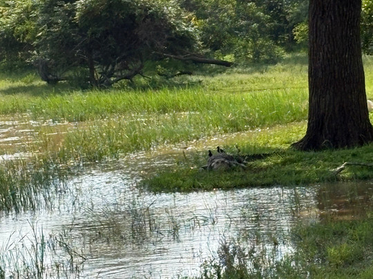 Ceylon Chase-Weerawila必去景点
