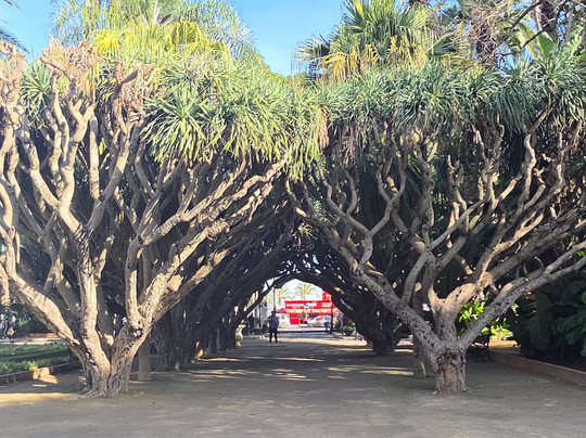 CopyFly Algeria – Cultural & Adventure Tours-Alger Centre必去景点