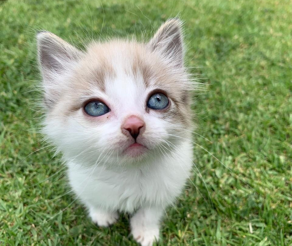 Periland Eco Parque & Camping-Cajica必去景点