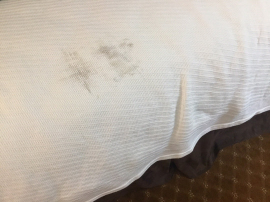 Best Western Potsdam University Park Inn主图