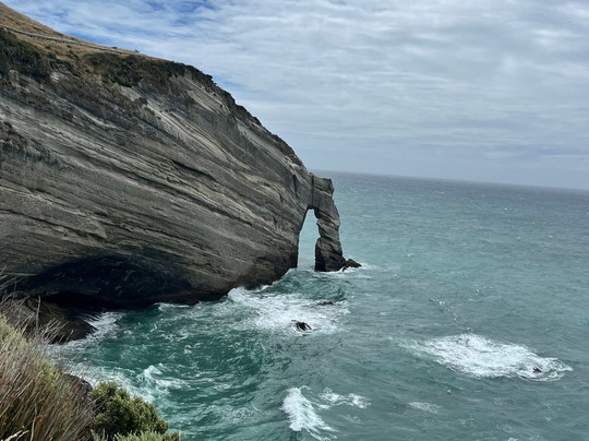Farewell Spit Eco Tours-Collingwood必去景点