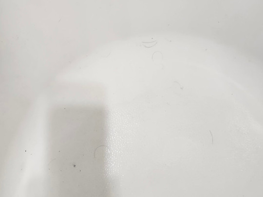 Super 8 by Wyndham Paris主图