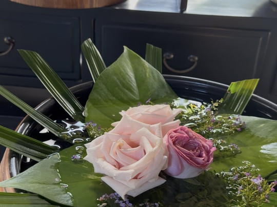 睡莲水疗中心-藩切市必去景点