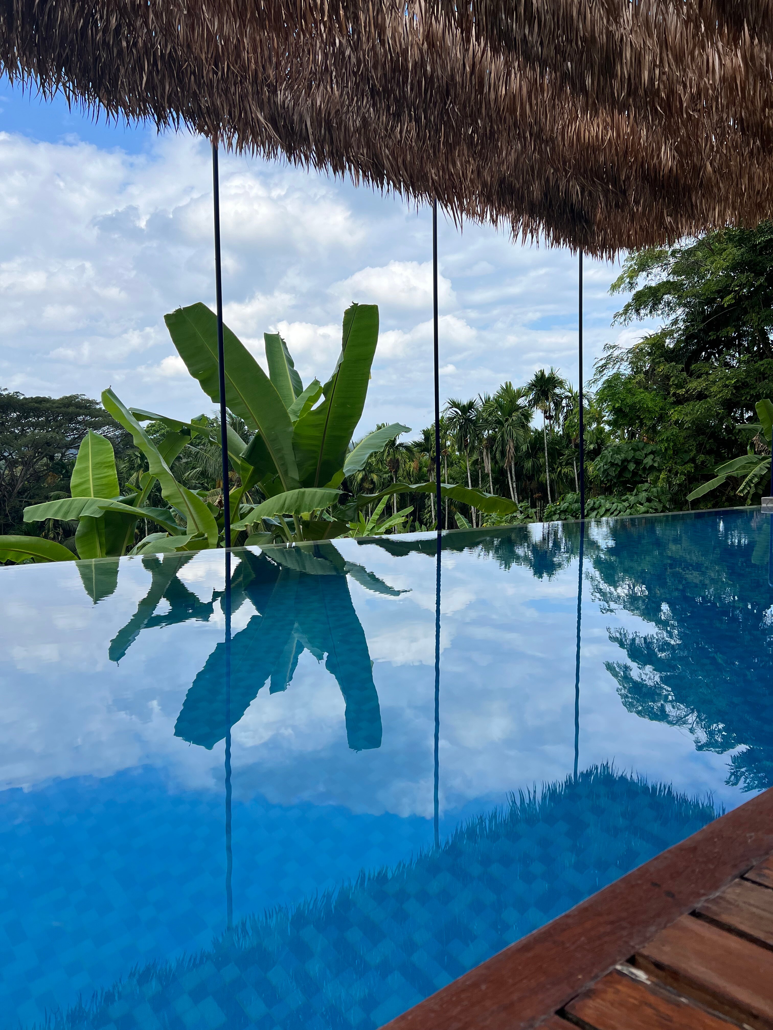 Jalakara Private Villa Hotel-泳池