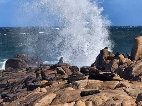 Parque Nacional de Cabo Polonio-Cabo Polonio必去景点