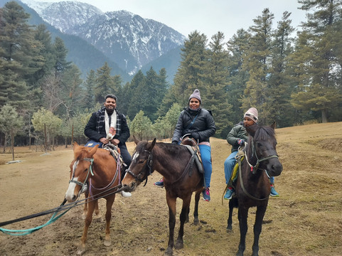 Fairytale Tour and Travels-斯利那加必去景点
