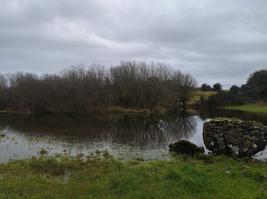 Hill of Uisneach-Killare必去景点