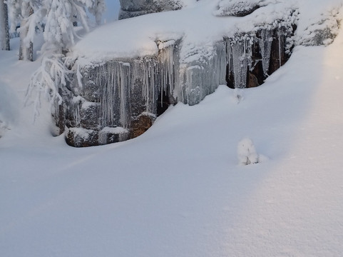 拉普兰熊之家酒店主图