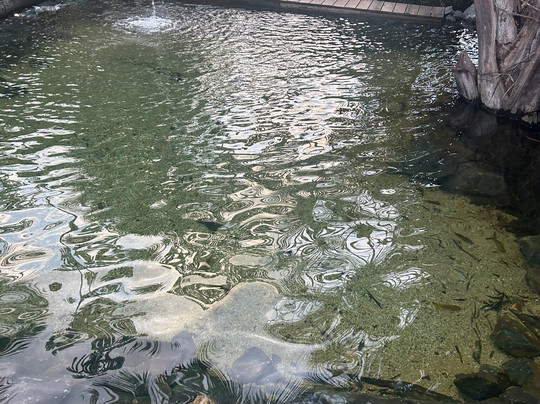 JALAPÃO OFICIAL-Palmas必去景点